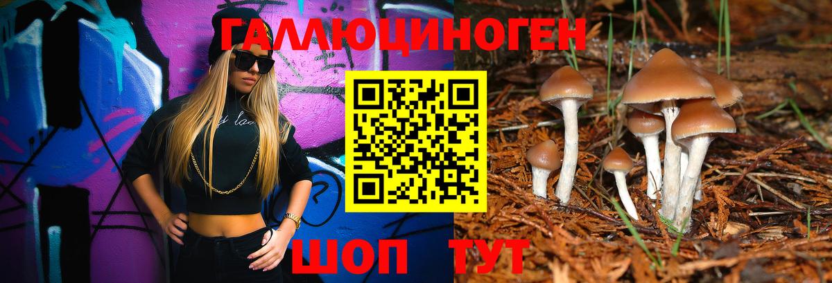 Псилоцибиновые грибы Cubensis Черкесск
