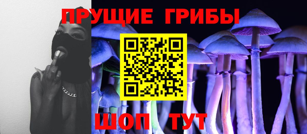 Псилоцибиновые грибы GOLDEN TEACHER  Псилоцибиновые грибы Magic Shrooms  Вход с VPN  Черкесск 
